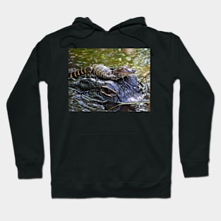 Going for a Ride Hoodie